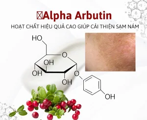 ALPHA ARBUTIN LÀ GÌ? & Đối tượng nào nên sử dụng sản phẩm