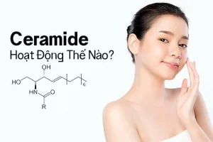 Cách dùng và tần suất sử dụng Ceramide trong chăm sóc da