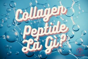 Collagen Peptide