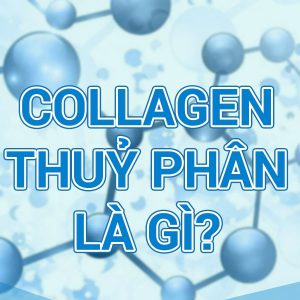 Collagen Thủy Phân là gì?