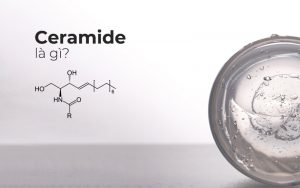 CERAMIDE LÀ GÌ? CÔNG DỤNG VÀ CÁCH DÙNG TRONG CHĂM SÓC DA