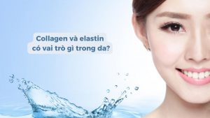 -collagen-elastin-1