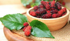 Công dụng làm đẹp của chiết xuất dâu tằm (Mulberry extract) mà bạn nên biết