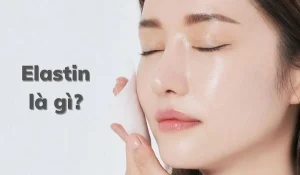 elastin