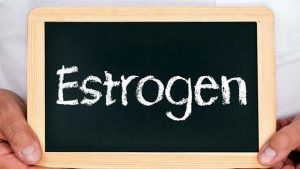 estrogen