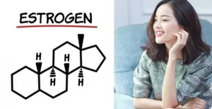 Tác dụng của estrogen đối với cơ thể