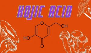 Kojic Acid Là Gì? 