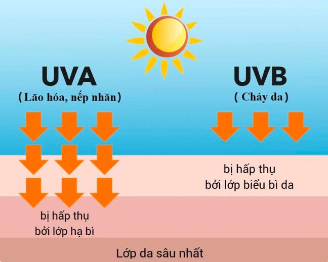 tia-uvb-ke-thu-tham-lang-cua-lan-da-2