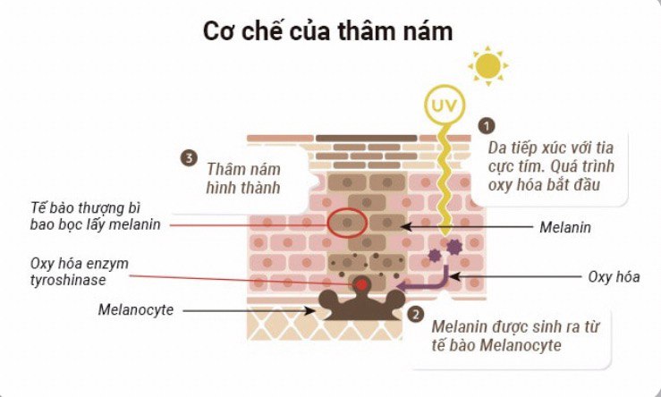 tim-hieu-ve-co-che-hinh-thanh-nam