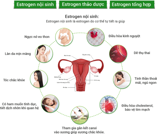 Có thể làm chậm quá trình teo âm đạo không?