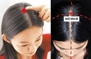 7 Huyệt Đạo Trên Vùng Đầu