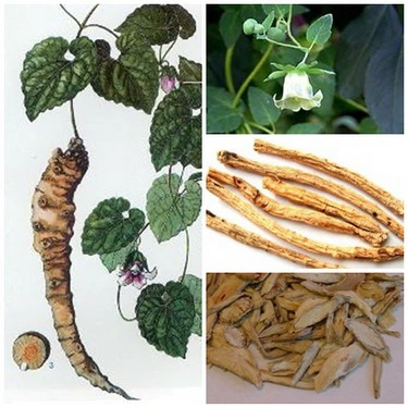 Bài thuốc điều trị chứng khô hạn