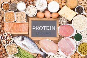 Protein là gì? Cấu tạo, chức năng của Protein với sức khỏe cơ thể