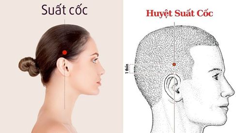 Vị trí Huyệt Suất Cốc 