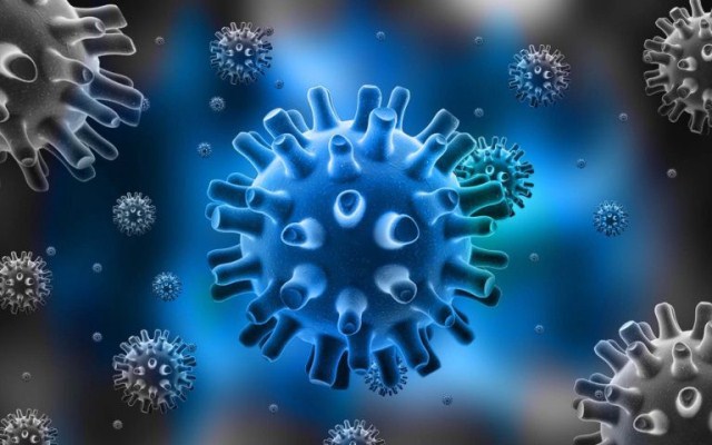 Virus herpes là gì và dấu hiệu nhận biết bệnh do virus này gây ra