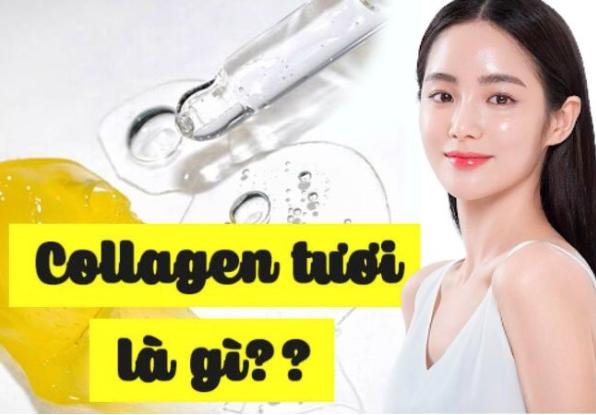 5-luu-y-khi-cay-collagen-tuoi-giup-ban-duy-tri-lan-da-tuoi-tre