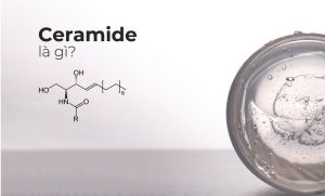 5-cach-ceramide-hoat-dong-hieu-qua-tren-da-ban