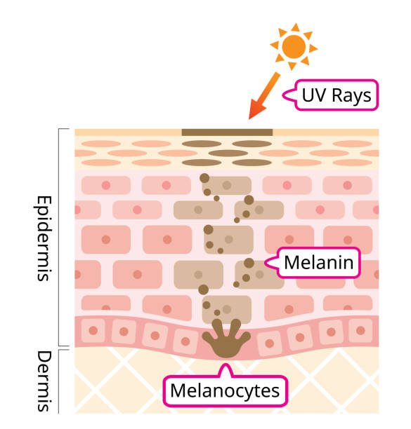 5-cach-lam-giam-melanin-trong-da-hieu-qua-va-an-toan