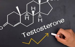 Testosterone và hành vi tình dục của nam giới