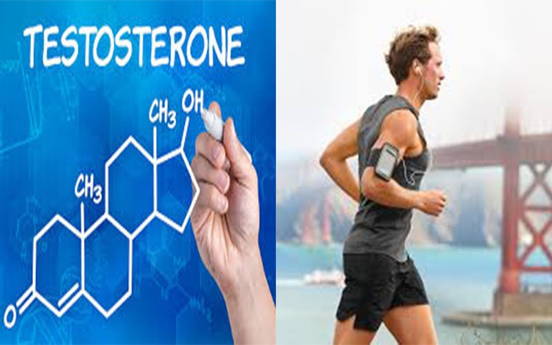 cách hiệu quả giúp tăng lượng testosterone