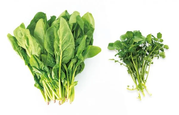 Giá trị dinh dưỡng của cải xoong 