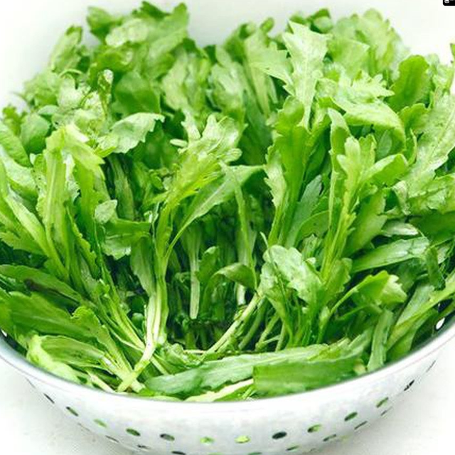 6 lợi ích cho sức khỏe