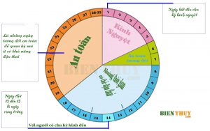 Ngừa thai bằng cách tính chu kỳ kinh nguyệt: Lợi và hại