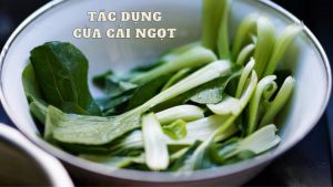 Tác Dụng Của Cải Ngọt