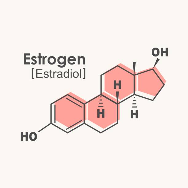 Oestrogen