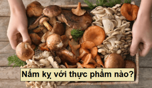 Những ai không nên ăn nấm? Cần lưu ý gì khi ăn nấm để đảm bảo sức khỏe?