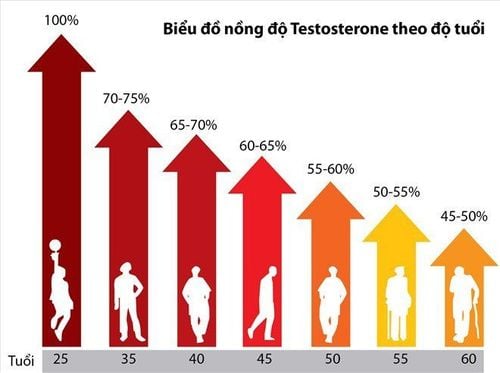 Testosterone là gì?