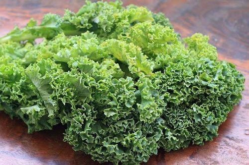 Rau cải xoăn rất giàu vitamin và chất xơ