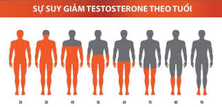 Nồng độ của Testosterone giảm mạnh 