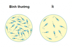 Hút thuốc lá và những hệ lụy lên đời sống tình dục của nam giới