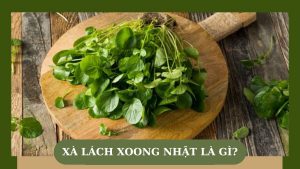 Xà lách xoong Nhật là gì?